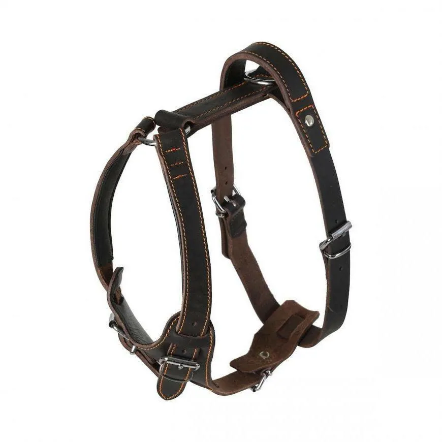 Hand-Stitched Leather Harness – Latigo Leather Series (Limited Edition)