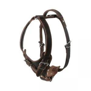 Hand-Stitched Leather Harness – Latigo Leather Series (Limited Edition)