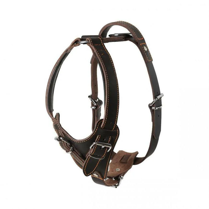 Hand-Stitched Leather Harness – Latigo Leather Series (Limited Edition)