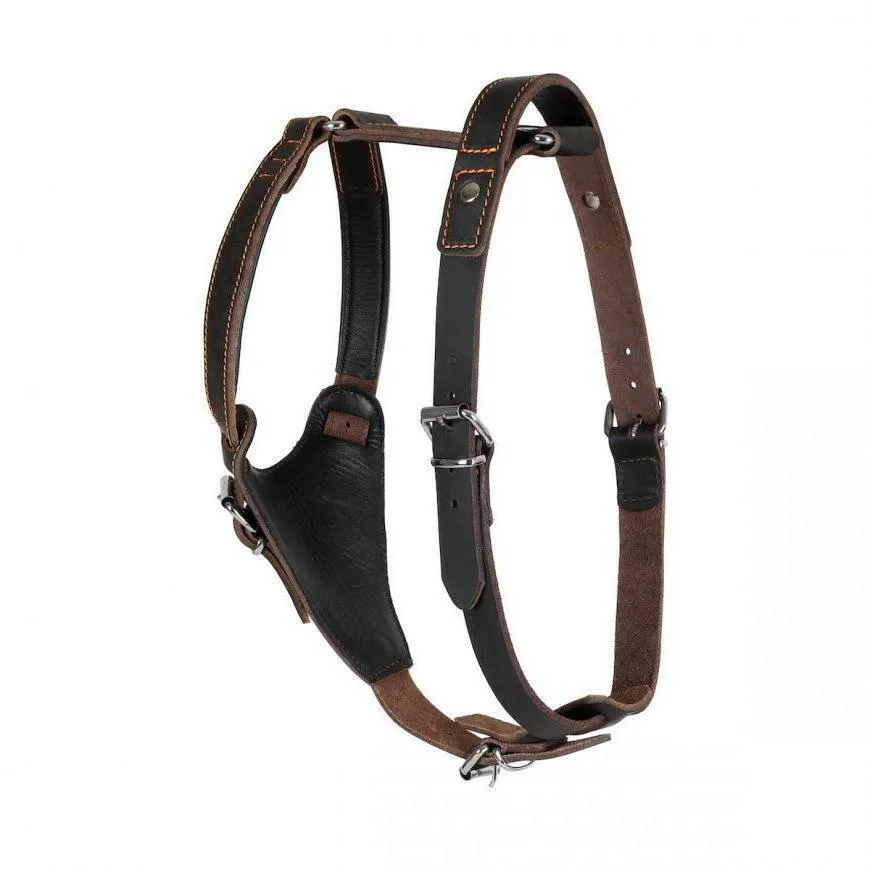 Hand-Stitched Leather Harness – Latigo Leather Series (Limited Edition)