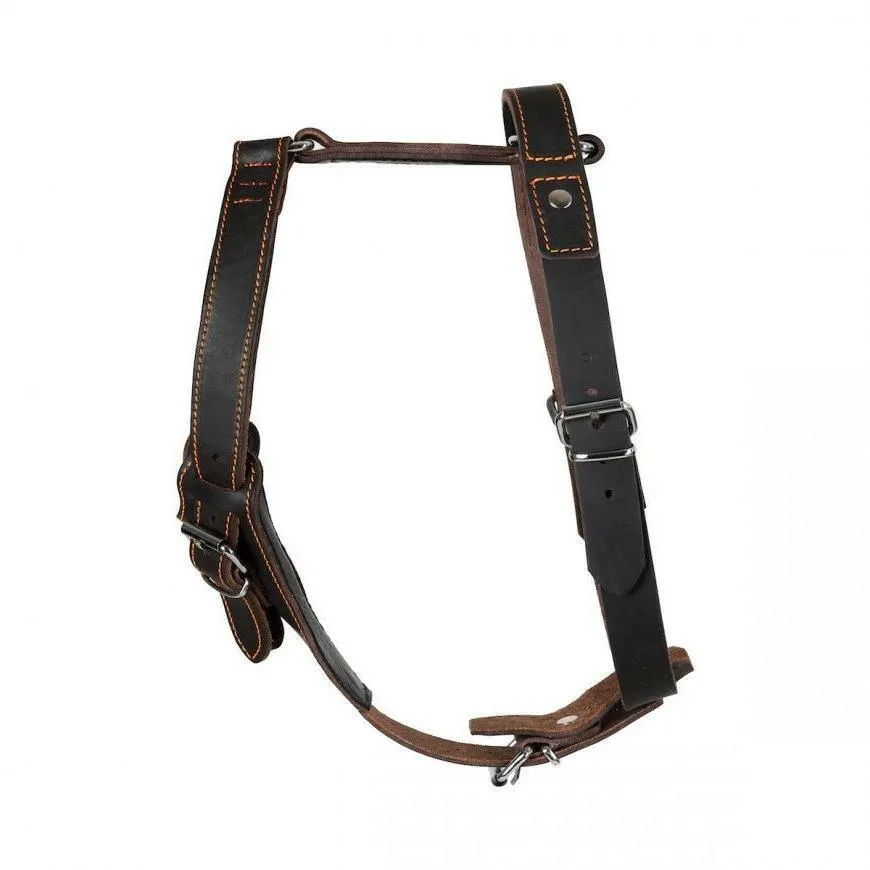 Hand-Stitched Leather Harness – Latigo Leather Series (Limited Edition)