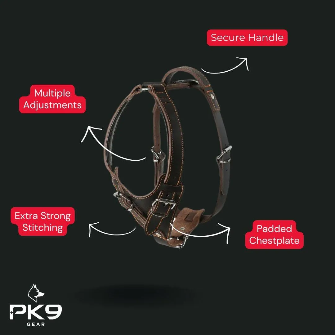 Hand-Stitched Leather Harness – Latigo Leather Series (Limited Edition)