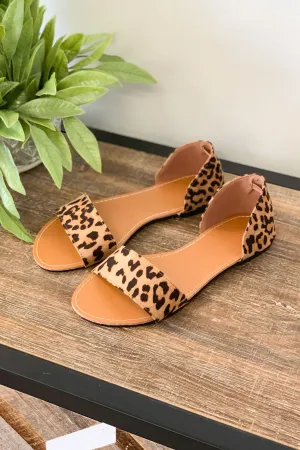 Harper Flats: Leopard